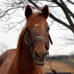 web_academyaward1l1 Academy Award